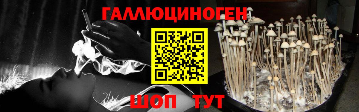 Псилоцибиновые грибы MAGIC MUSHROOMS  Галлюциногенные грибы GOLDEN TEACHER  Вход с VPN  Красногорск 